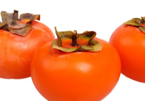 柿子叶的神奇功效：美容养颜、防癌抗癌、治疗高血压