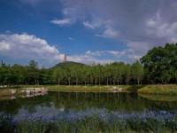 玉东郊野公园：玉泉山下的自然之美与历史情怀