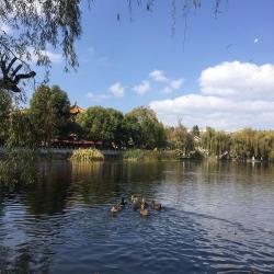 翠湖湿地公园：自然与历史的瑰宝，生态保护与休闲的理想之地