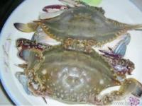 青蟹与梭子蟹：品种、营养及食用方法全解析
