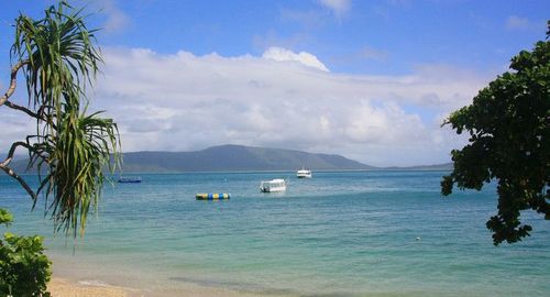 翡翠岛攻略：浮潜、徒步与海龟岛的完美之旅
