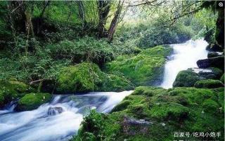 十八寨景区：武夷山的自然瑰宝，探秘原始森林之美