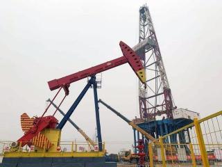大港油田：中国多功能油气生产基地的勘探与开发