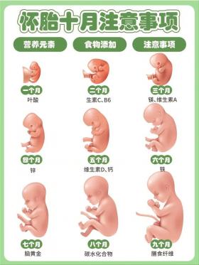 曹颖怀孕期间注意事项：从饮食到运动，全方位呵护母婴健康