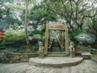 珠海唐家共乐园：历史悠久的园林，感受文化与自然的魅力