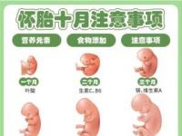 曹颖怀孕期间注意事项：从饮食到运动，全方位呵护母婴健康